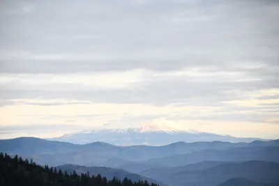 DSC_0108 (Large).JPG